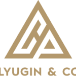C. Pilyugin & Co LLC